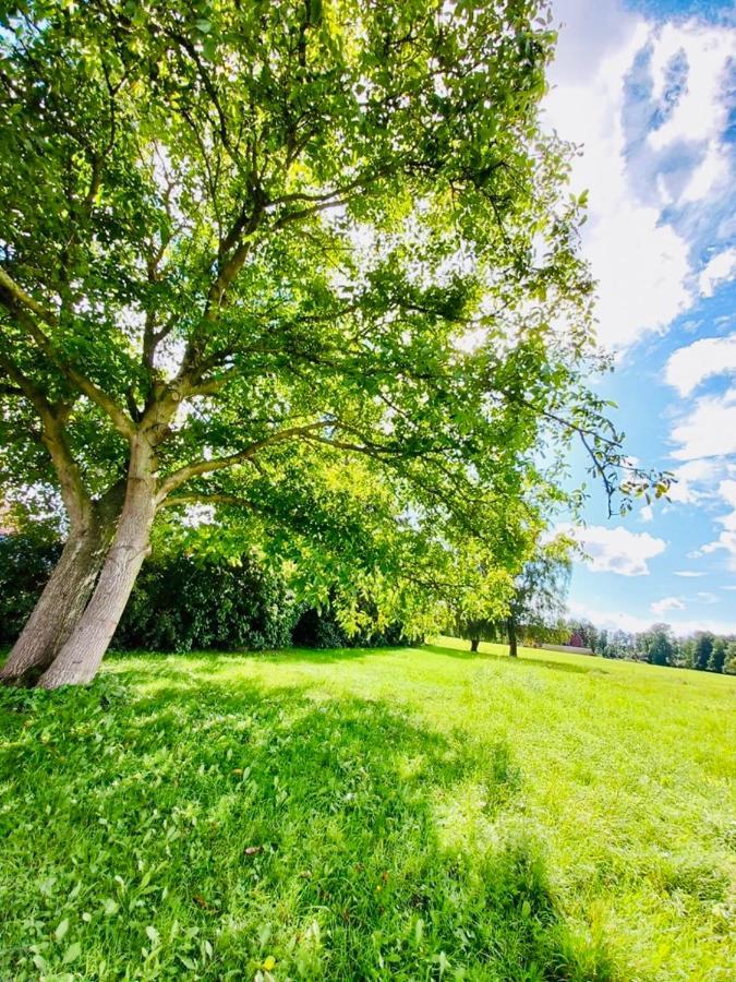 Apartmán Familienhof Mueritz Klein Plasten Exteriér fotografie